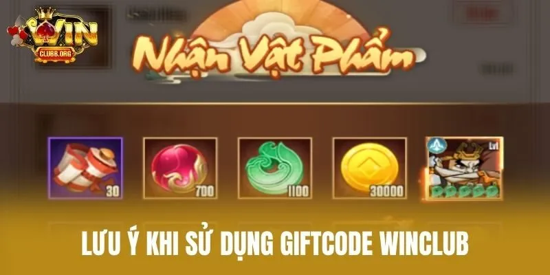 Lưu ý khi sử dụng giftcode Winclub